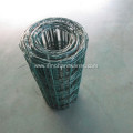 Holland Wire Mesh For Sale